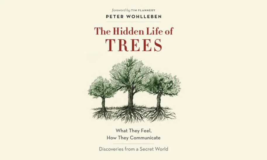 Book for October 2018 LDSES discussion. I have read a wonderful book by Jane Goodall which covers this topic (and more), Seeds of Hope: Wisdom and Wonder from the World of Plants, 2013. You’ll never feel the same about plants and specifically trees and their interrelationships after learning about the ways trees communicate. — Merikay
