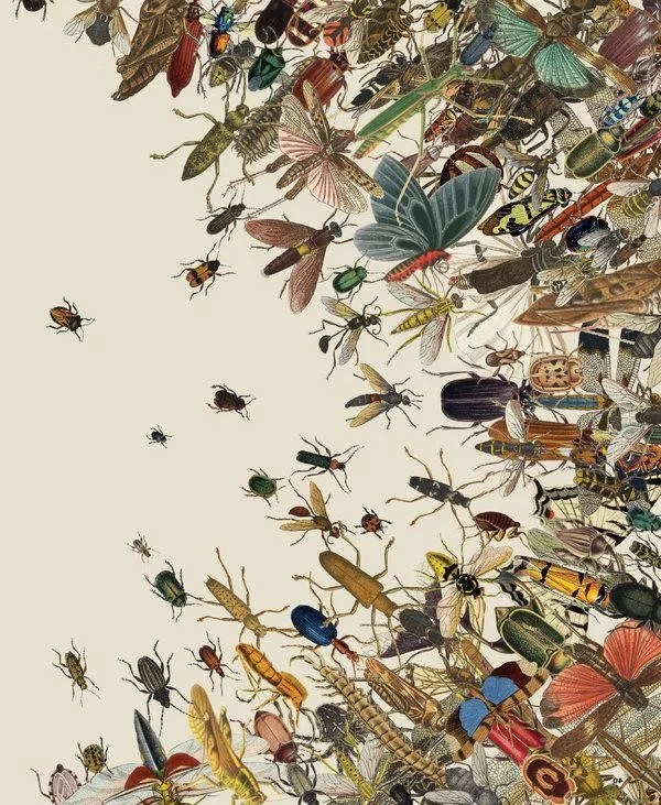 insect apacolypse.jpg