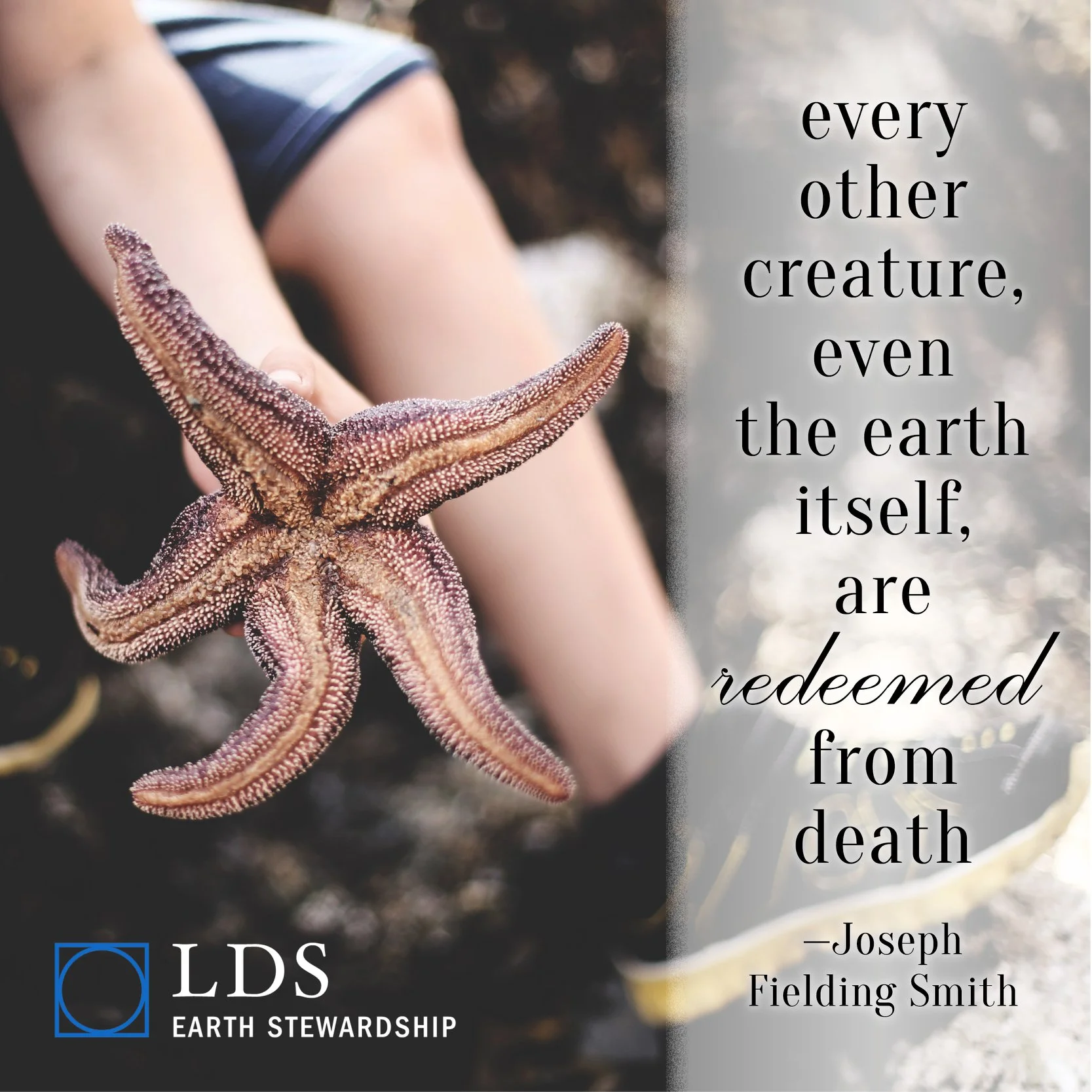joseph fielding smith.jpg