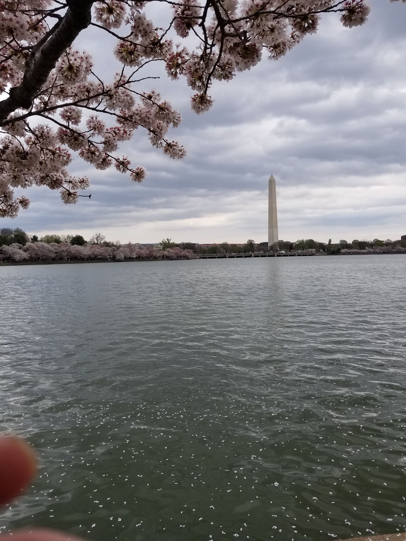 cherries monument.jpg