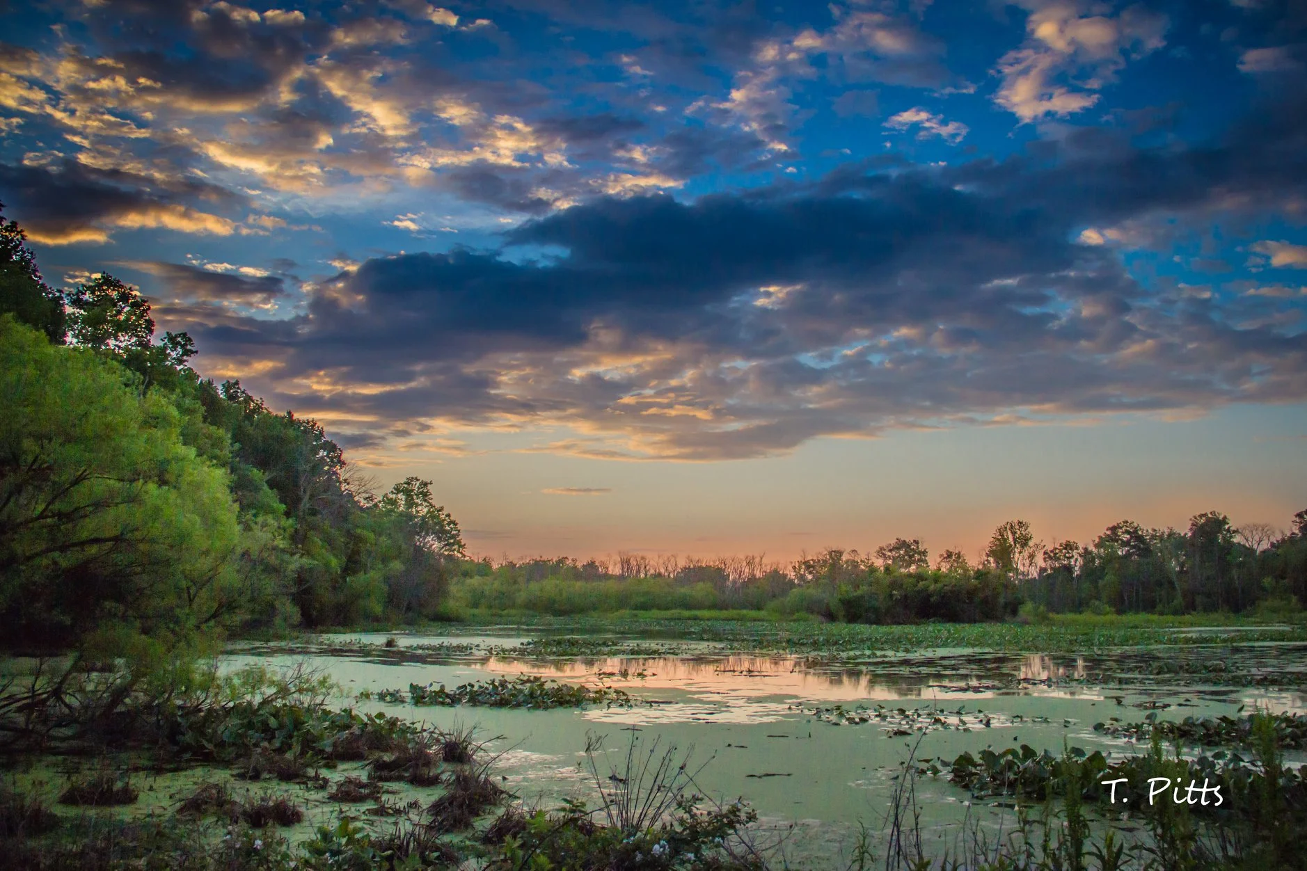 McKee Beshers, T. Pitts sunrise.jpg