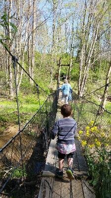 4.22.20 swing bridge.jpg