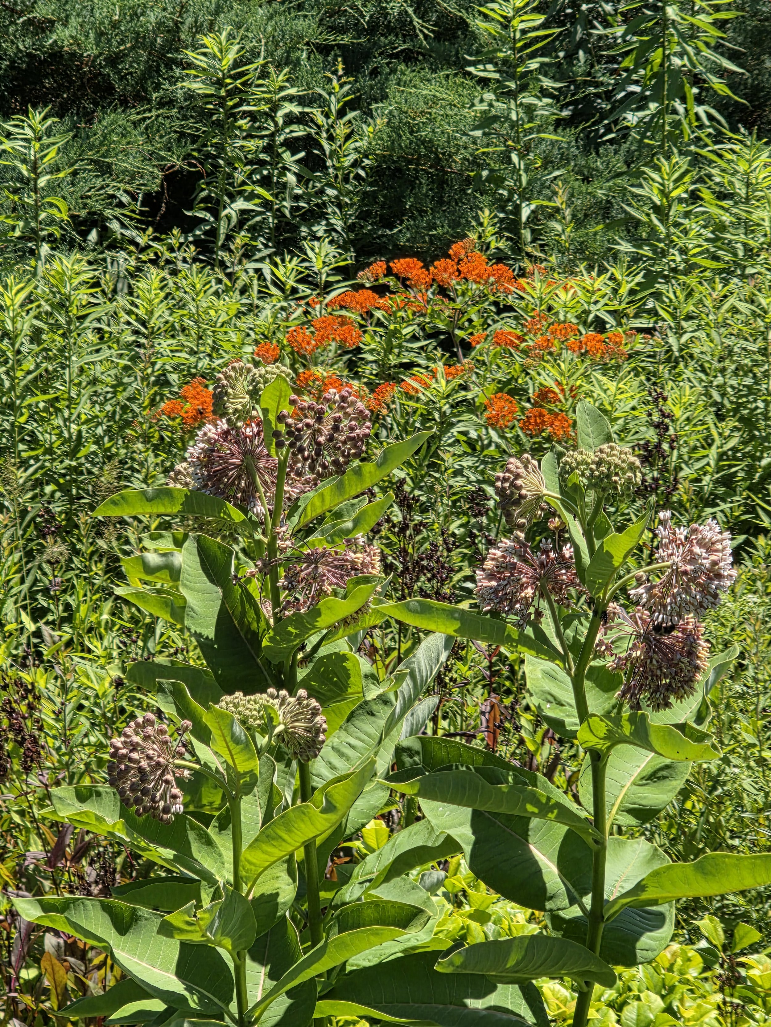 20260620_142350.jpg