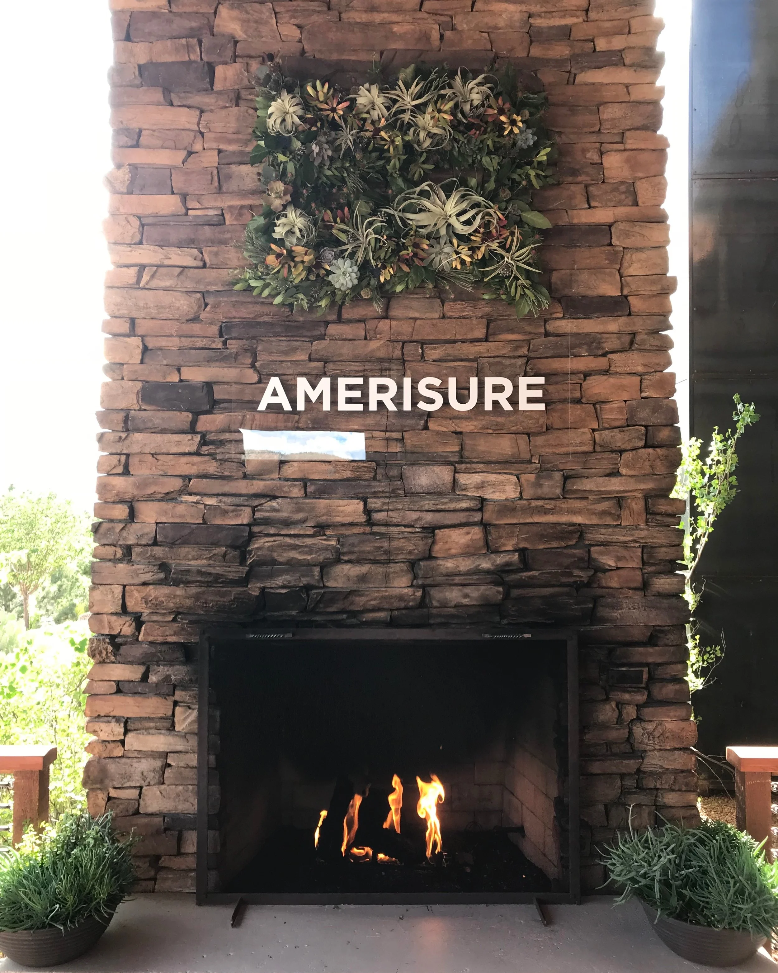 Amerisure