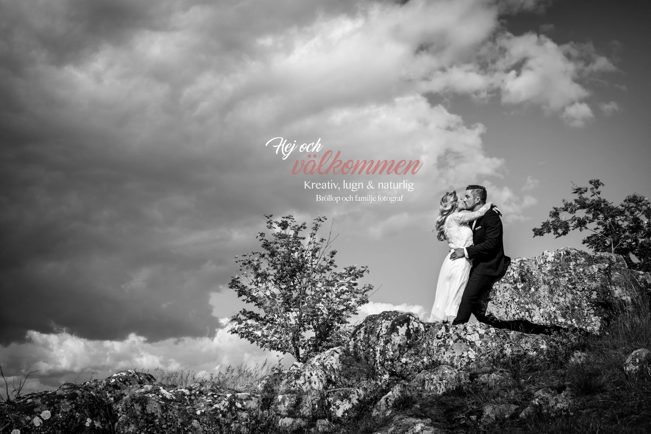 Wedding Portfolio.jpg