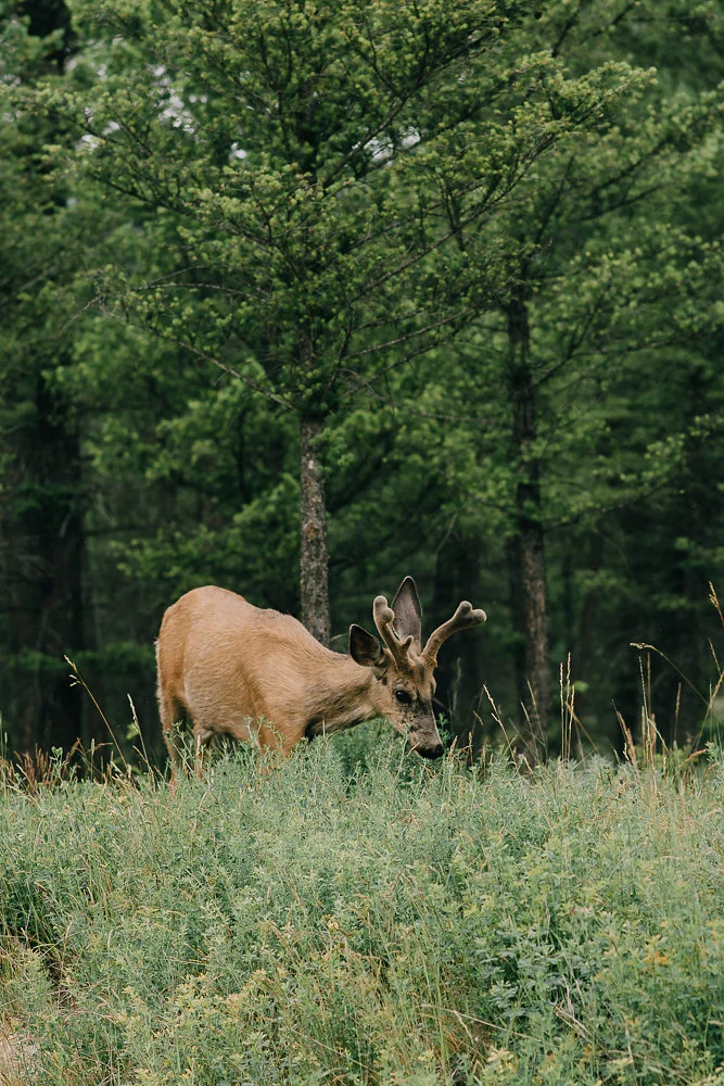 radiumweddingphotographer(27of30).jpg