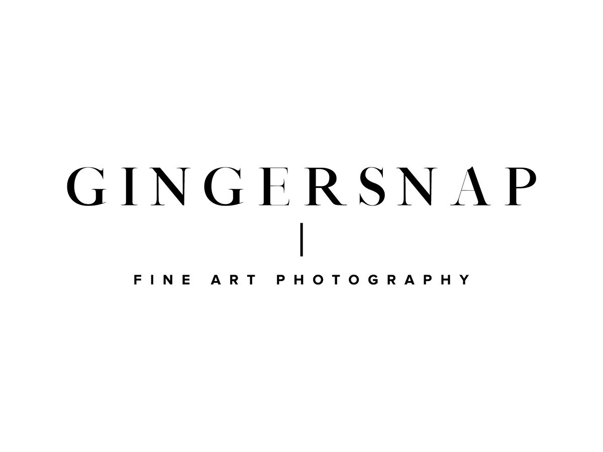 gingersnap-photography-gingersnap-vendor.jpg