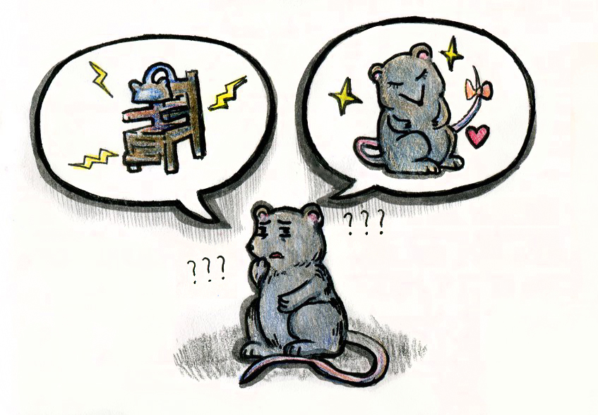The tIny heroes of memory research. // Image credit Toma The Spook.