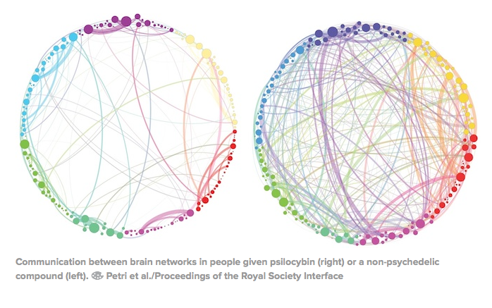 The well-known illustration of how brain connectivity literally explodes on psilocybin (right).