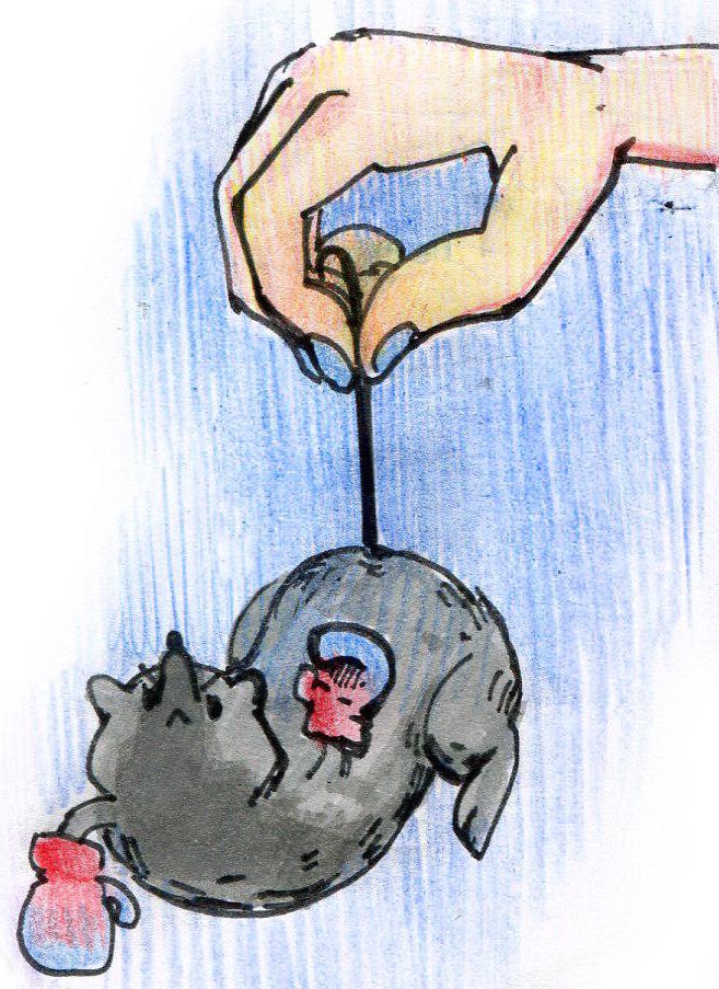Blocking the BMP pathway makes mice less anxious and more likely to fight depression.