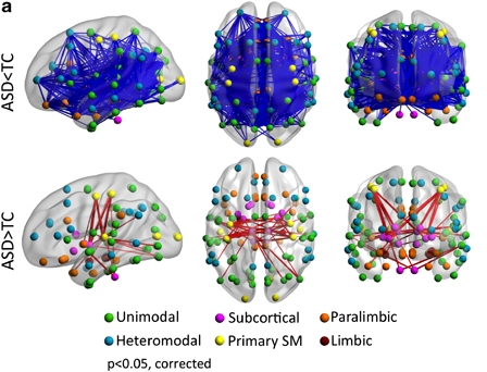 Upper row: connections that are weaker in ASD patients as compared to healthy controls. Lower row: connections that are stronger in ASD. From http://www.nature.com/mp/journal/v19/n6/fig_tab/mp201378f2.html