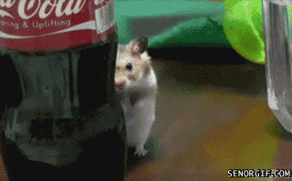 tumblr_mmyptlVggQ1srqbcqo1_400.gif
