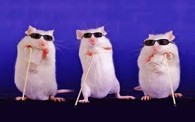 Hope for these fellas! (I debated including a complicated figure from the paper and decided that blind mice are better).