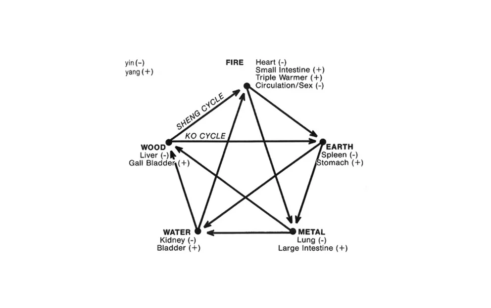 The above chart demonstrates the relationship which exists between the earth elements and the physical human body. 