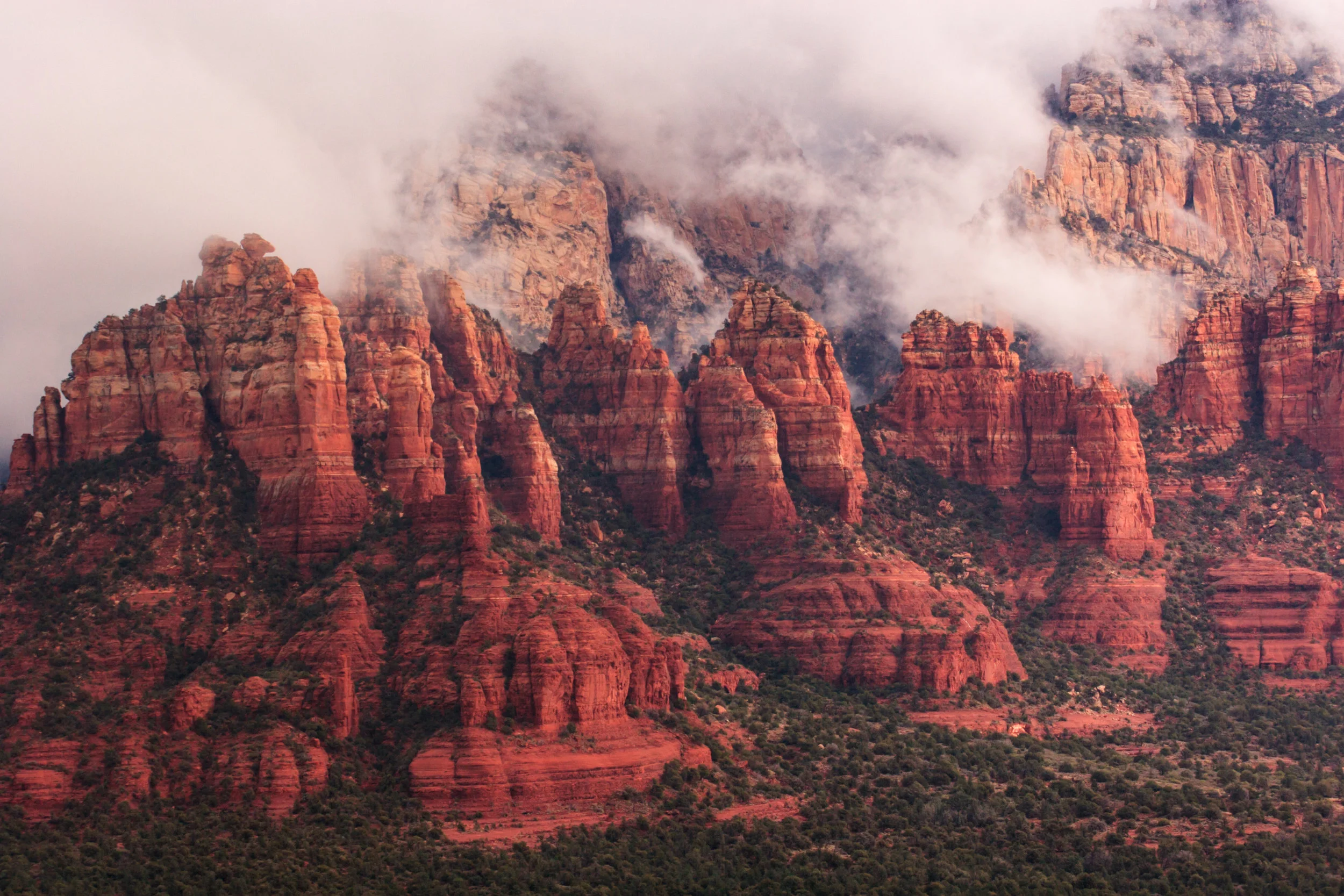 AdobeStock_158417467.jpg