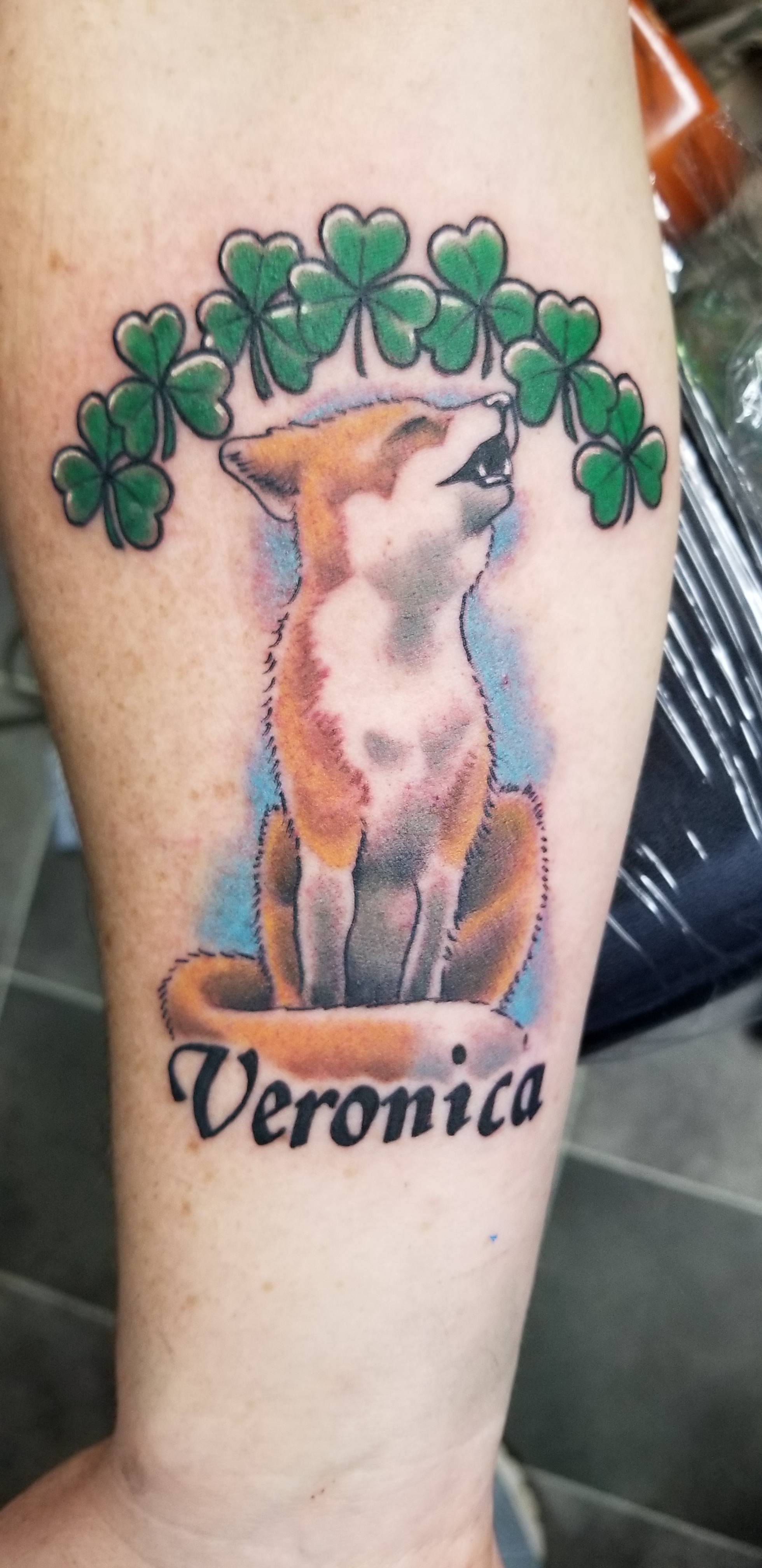 Amazon.com : 4 x 'Irish Wolf Hound' Temporary Tattoos (TO00043009) : Beauty  & Personal Care