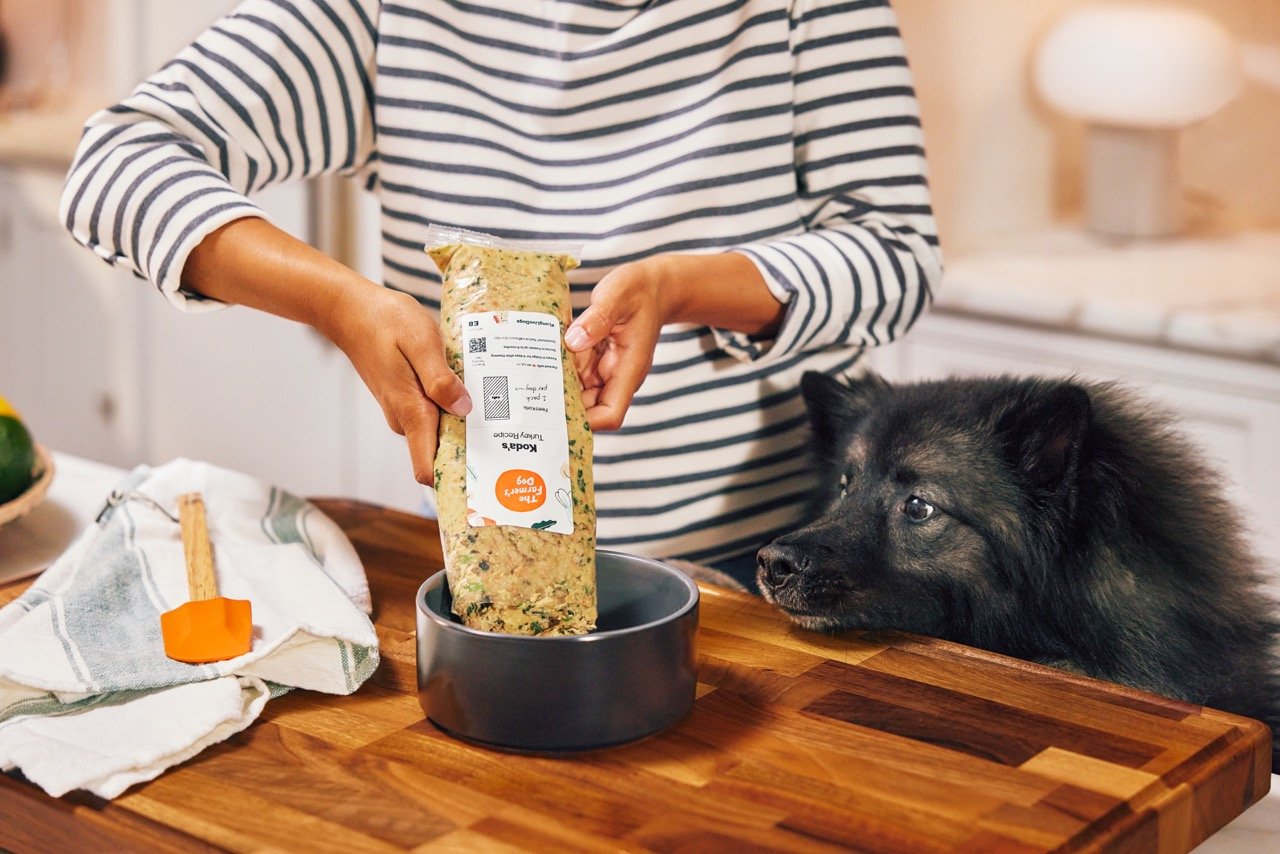 2022.06.15_The Farmers Dog_0109 Large.jpeg