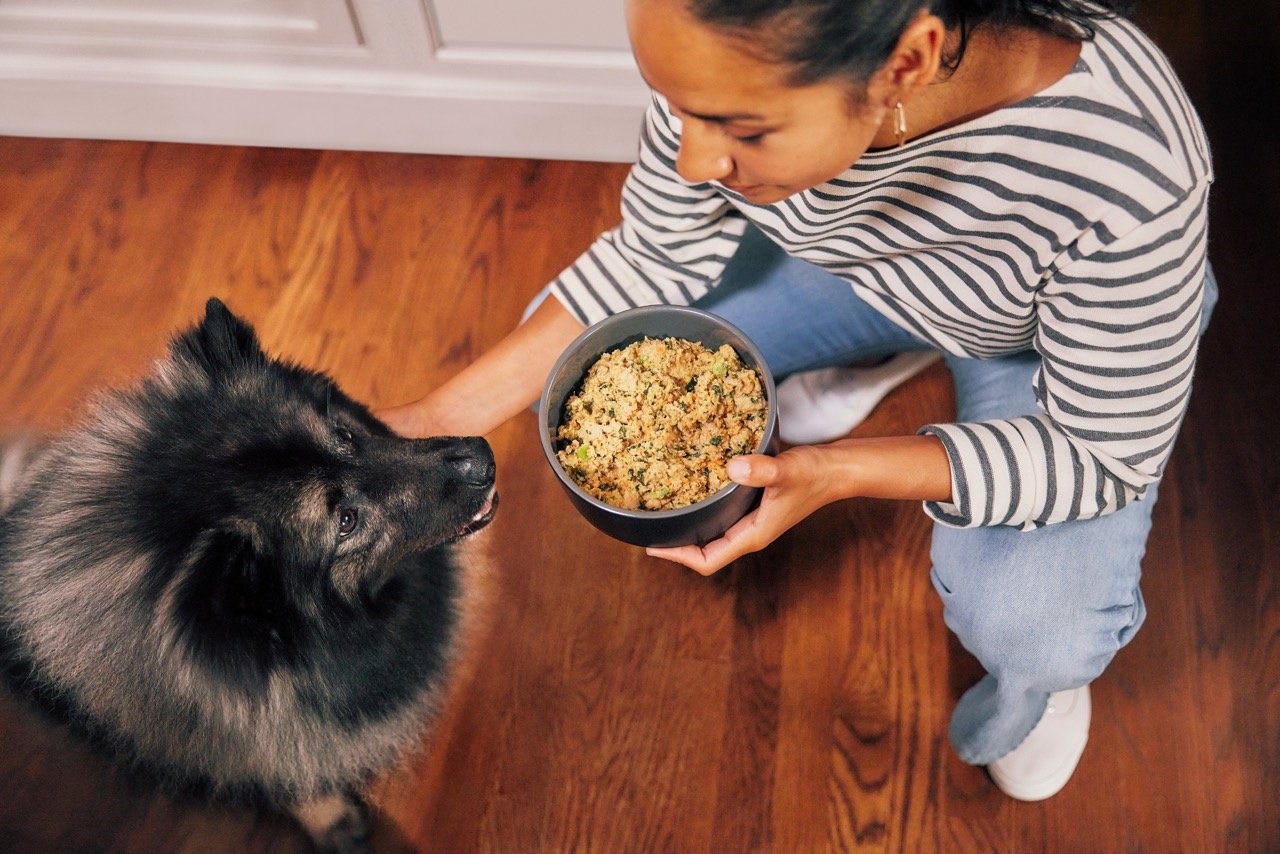 2022.06.15_The Farmers Dog_0431 1 Large.jpeg