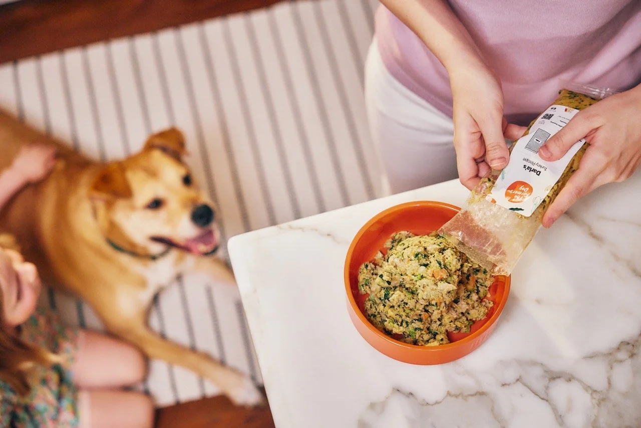 2022.06.15_The Farmers Dog_0814 Large.jpeg