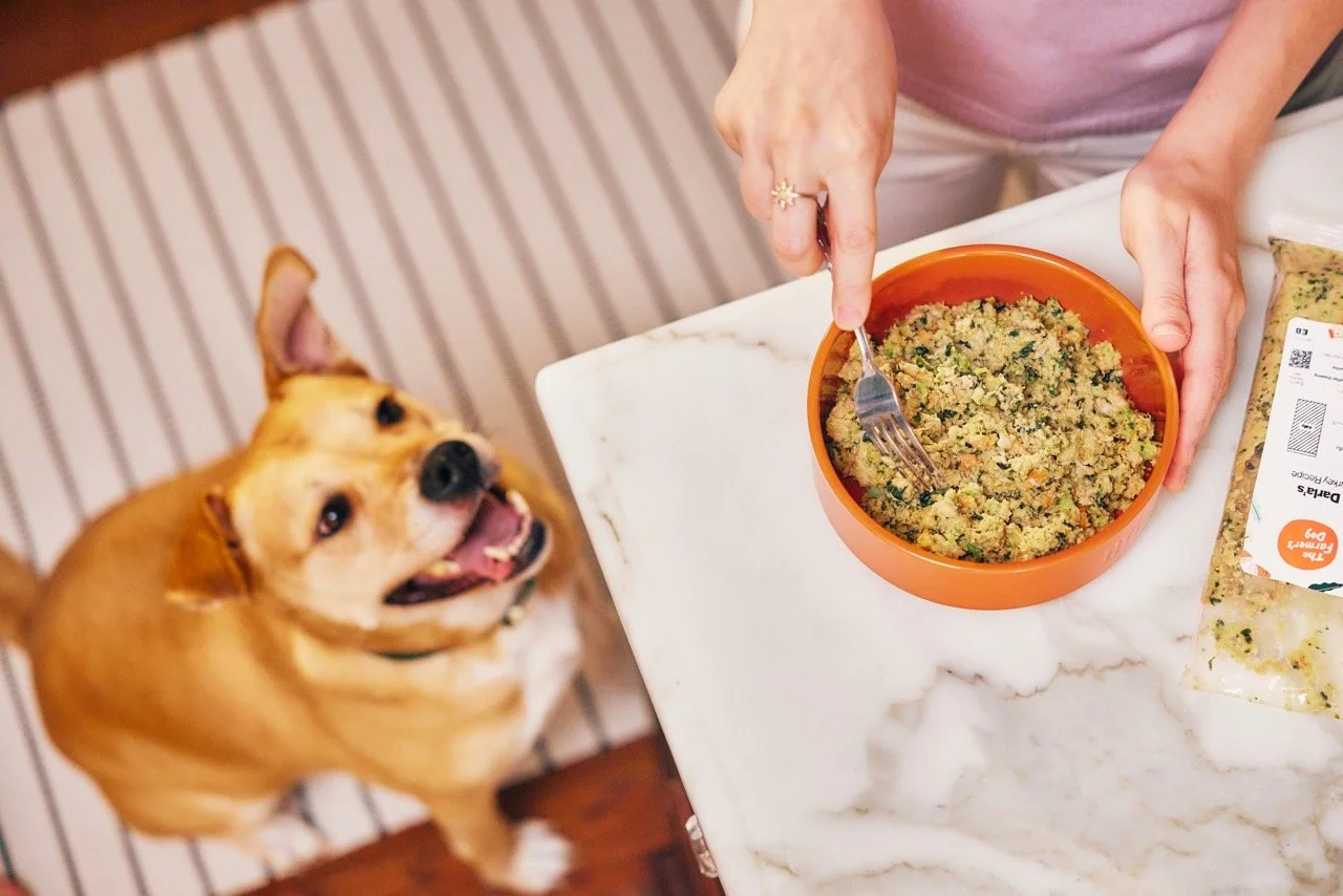 2022.06.15_The Farmers Dog_0849 1 Large.jpeg