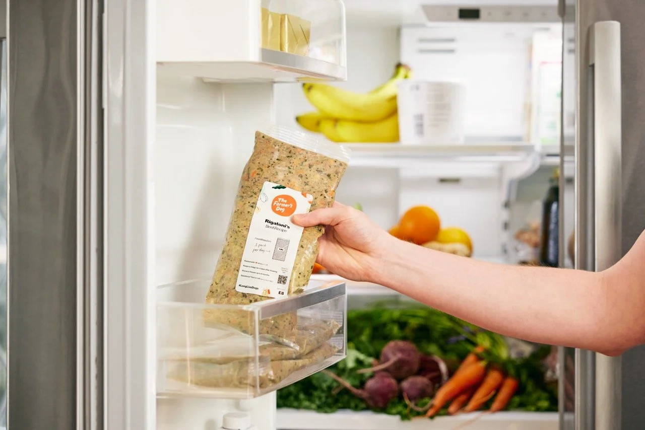 2022.06.15_The Farmers Dog_3165 Large.jpeg