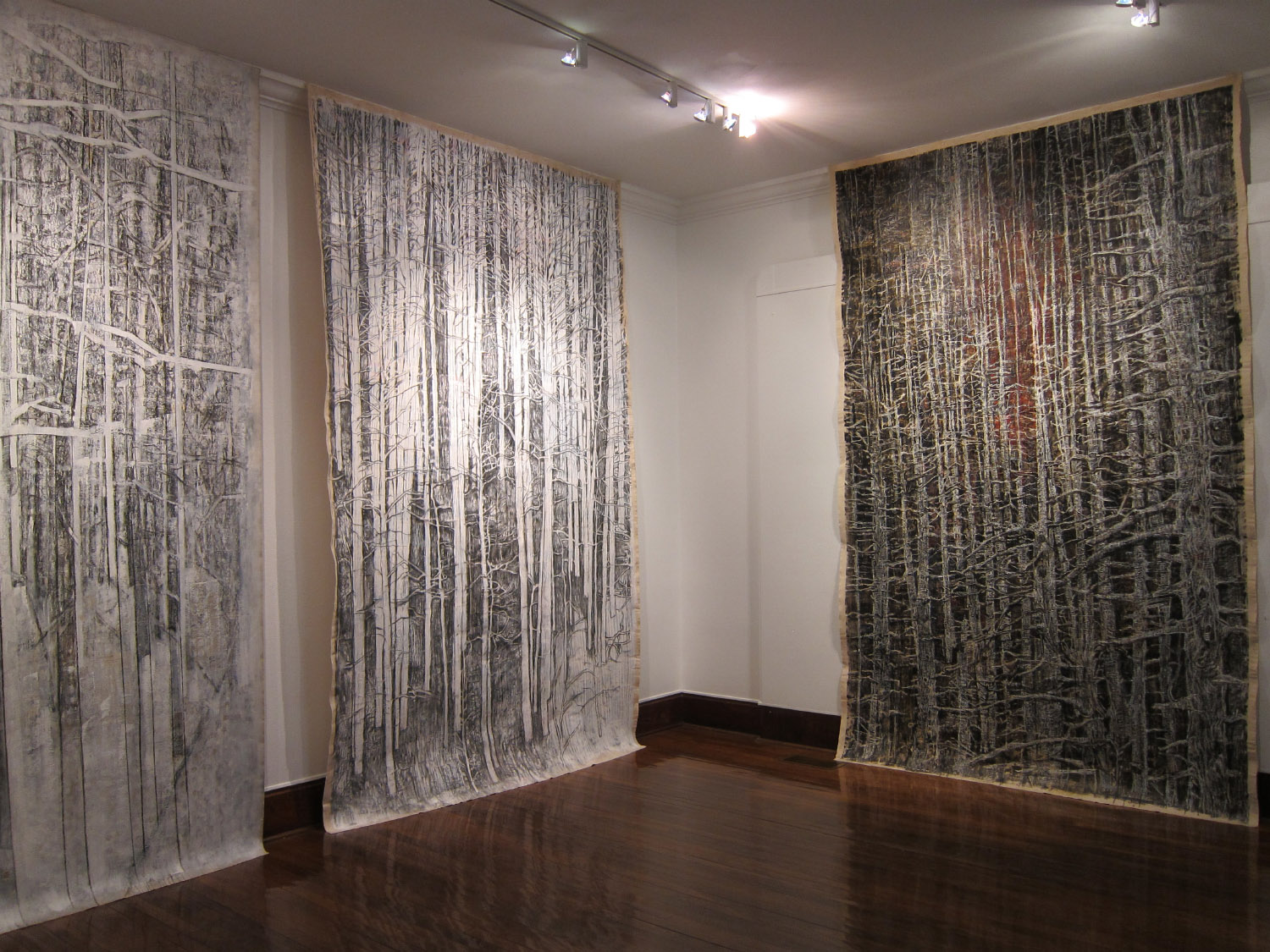 2ae(3), Curtains,  with Whiteout and  Snags,  Beeville Art Museum 2014.JPG