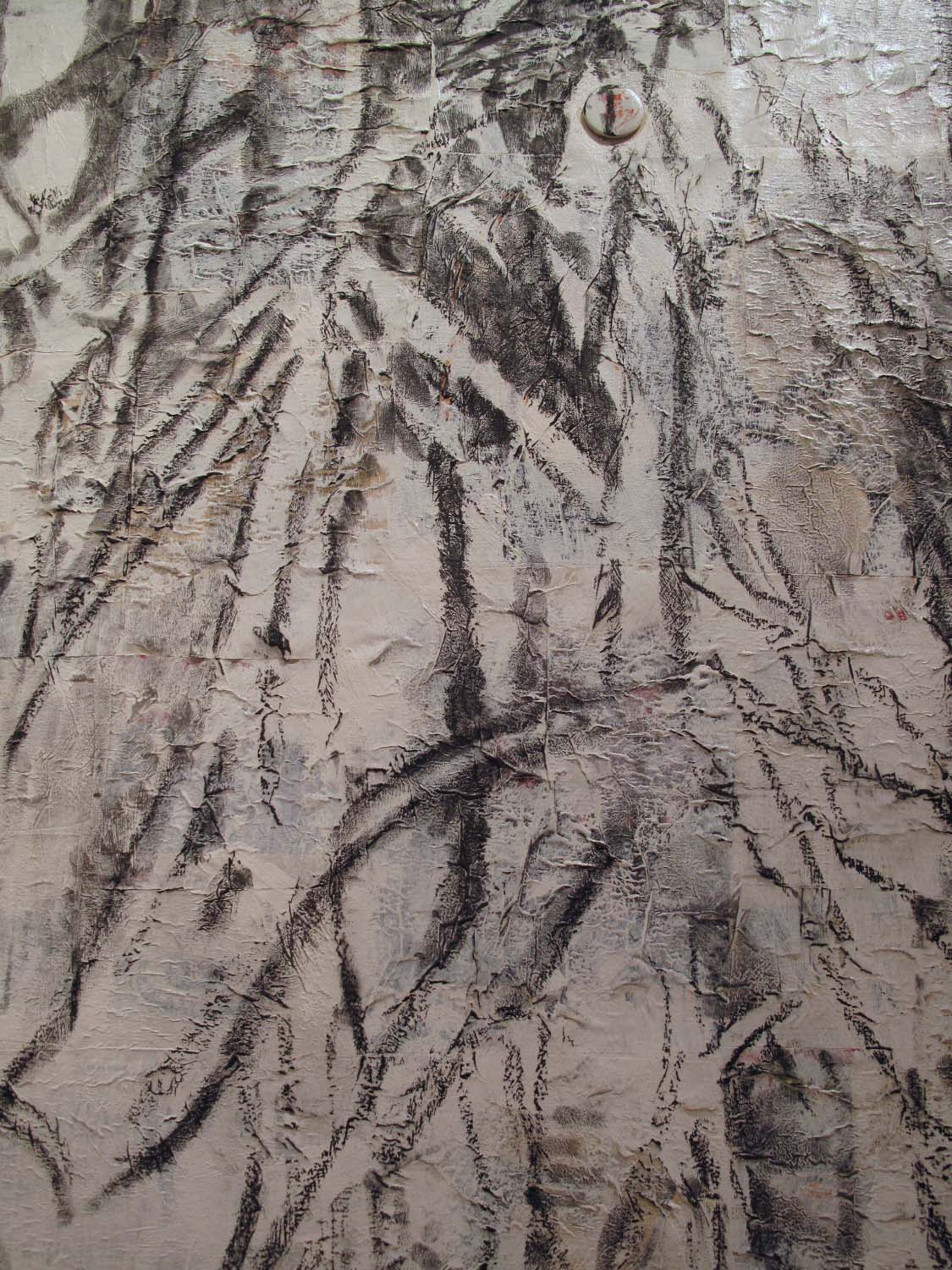 2ah(1)-Detail of Shrub, charcoal, gesso, collage on canvas.jpg