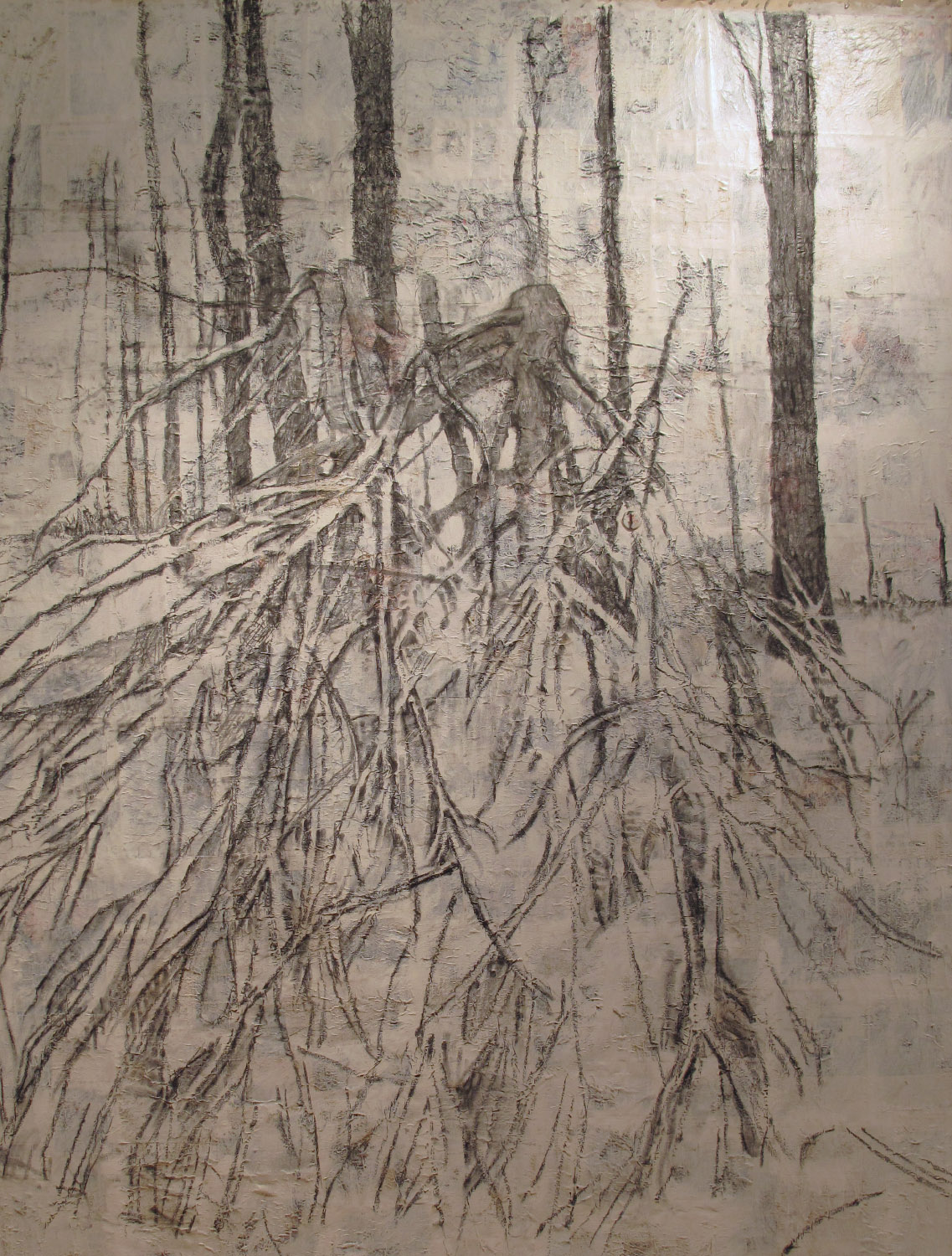 2ah(0), charcoal, gesso, print media collage on canvas, 96x78 in. 2001.jpg
