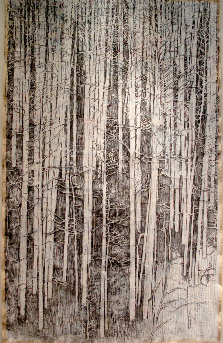 2ae(0)-Curtains-charcoal, gesso,  print media collage on unstretched canvas, 133x83 in. 2008.jpg