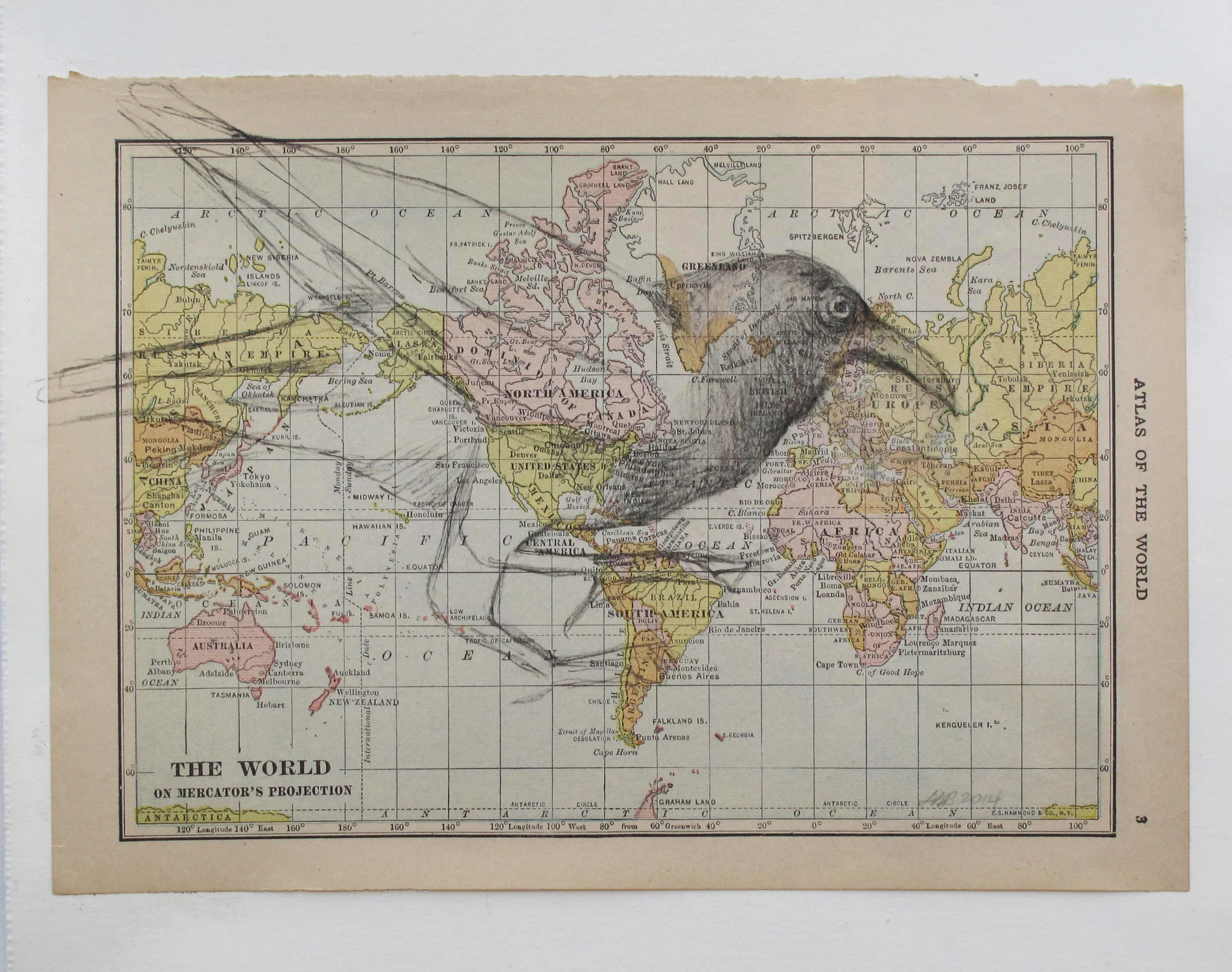 2ci(0) - Wayward Bird- charcoal over map, paper 8x9 in..jpg