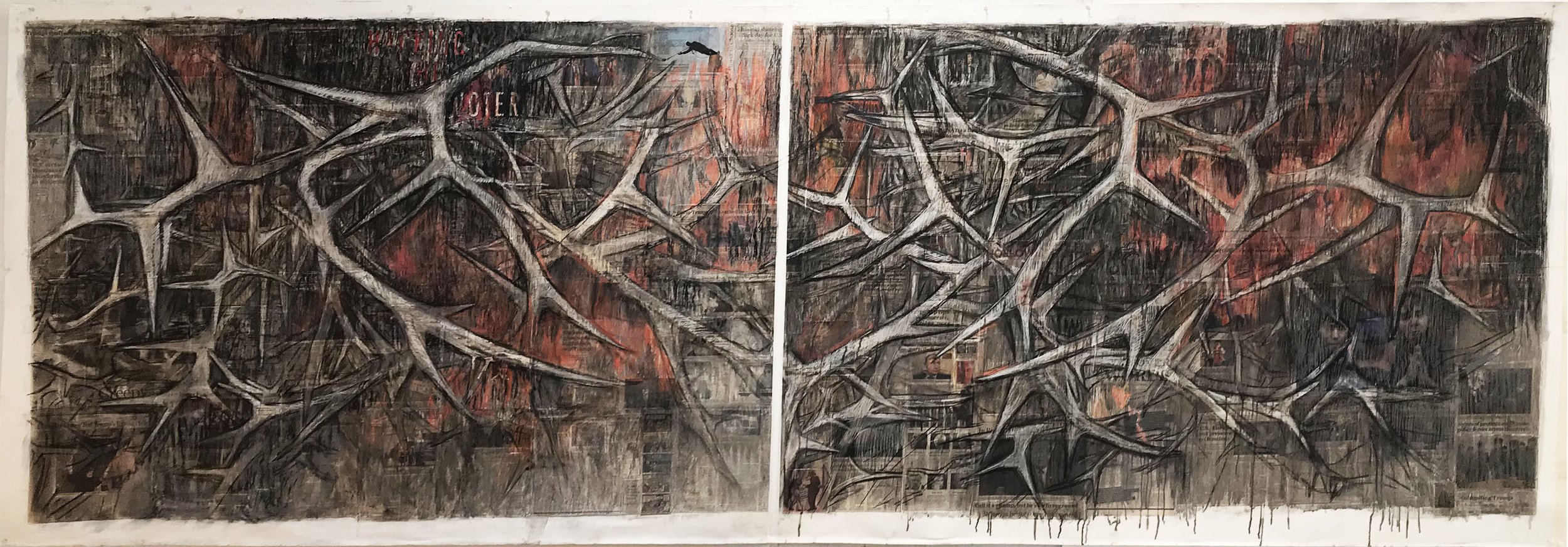 2Ai(1) - Thorny issues - diptych, 52x120 in. charcoal, paste. on collaged paper 2020.jpg