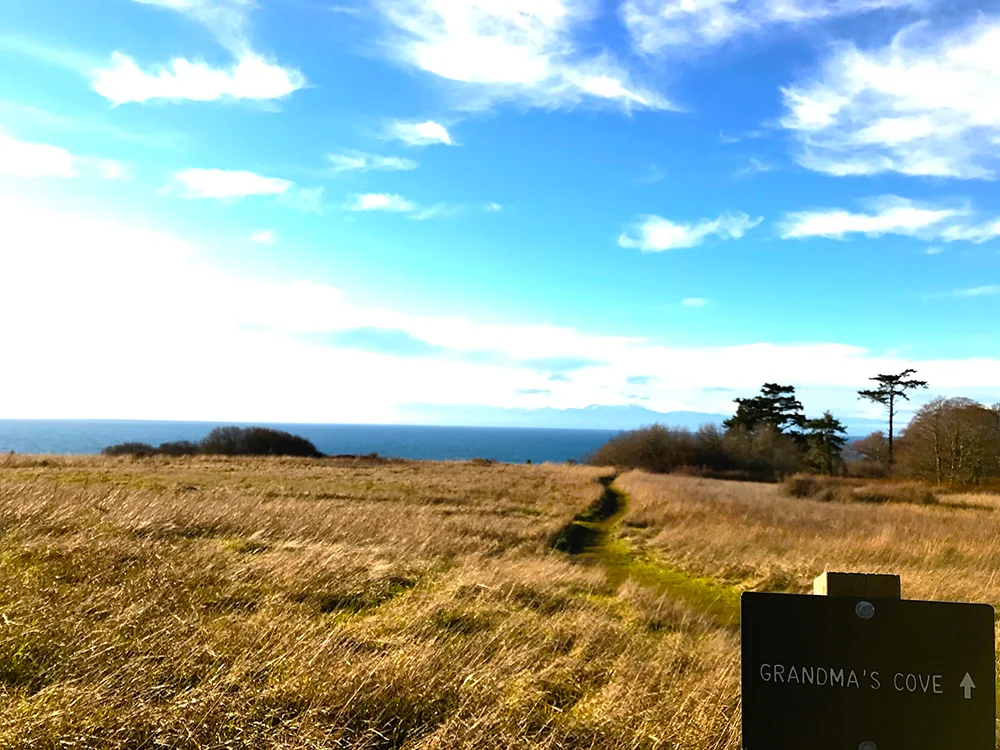 San Juan Island – The Road Less Travelled
