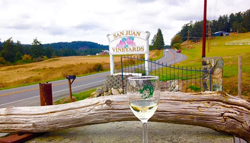 San Juan Vineyards