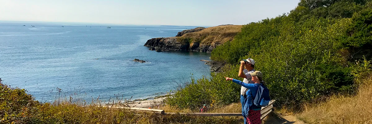 Birding on San Juan Island