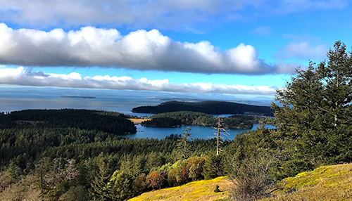 View from Mt. Young
