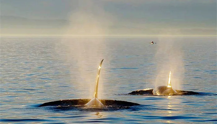 And I think to myself, what a Wonderful World!