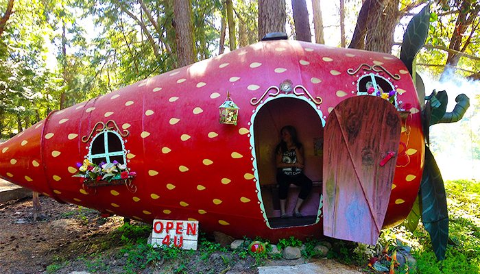 Secret Fruit House