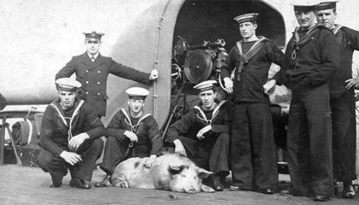 10 Fascinating Facts about San Juan Island