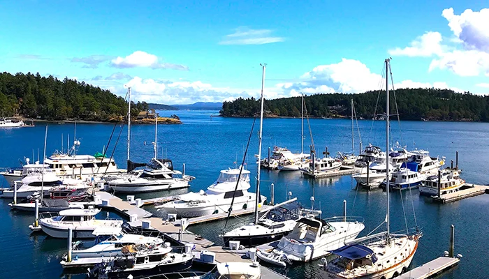 5 Amazing Ways to explore San Juan Island by Boat
