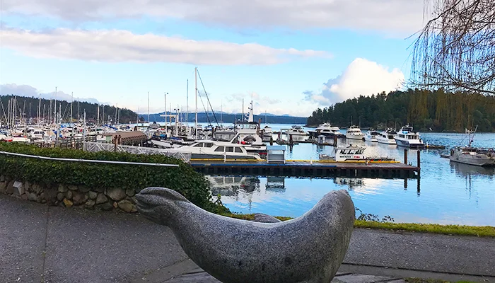 The Fun San Juan Island Quiz
