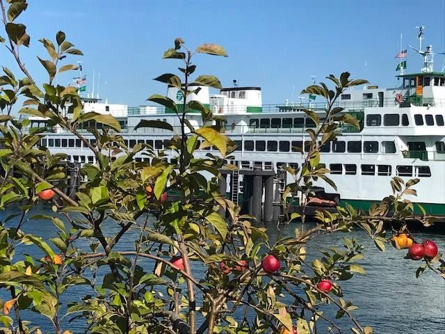 An Apple a Day and an Island Getaway keep the Winter Blues away!