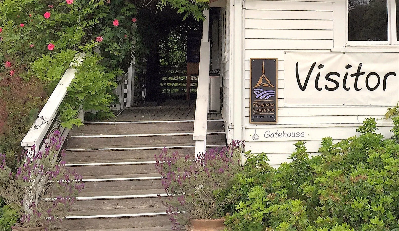 The Gatehouse Farm Store and Visitor Center at the Pelindaba Lavender Farm