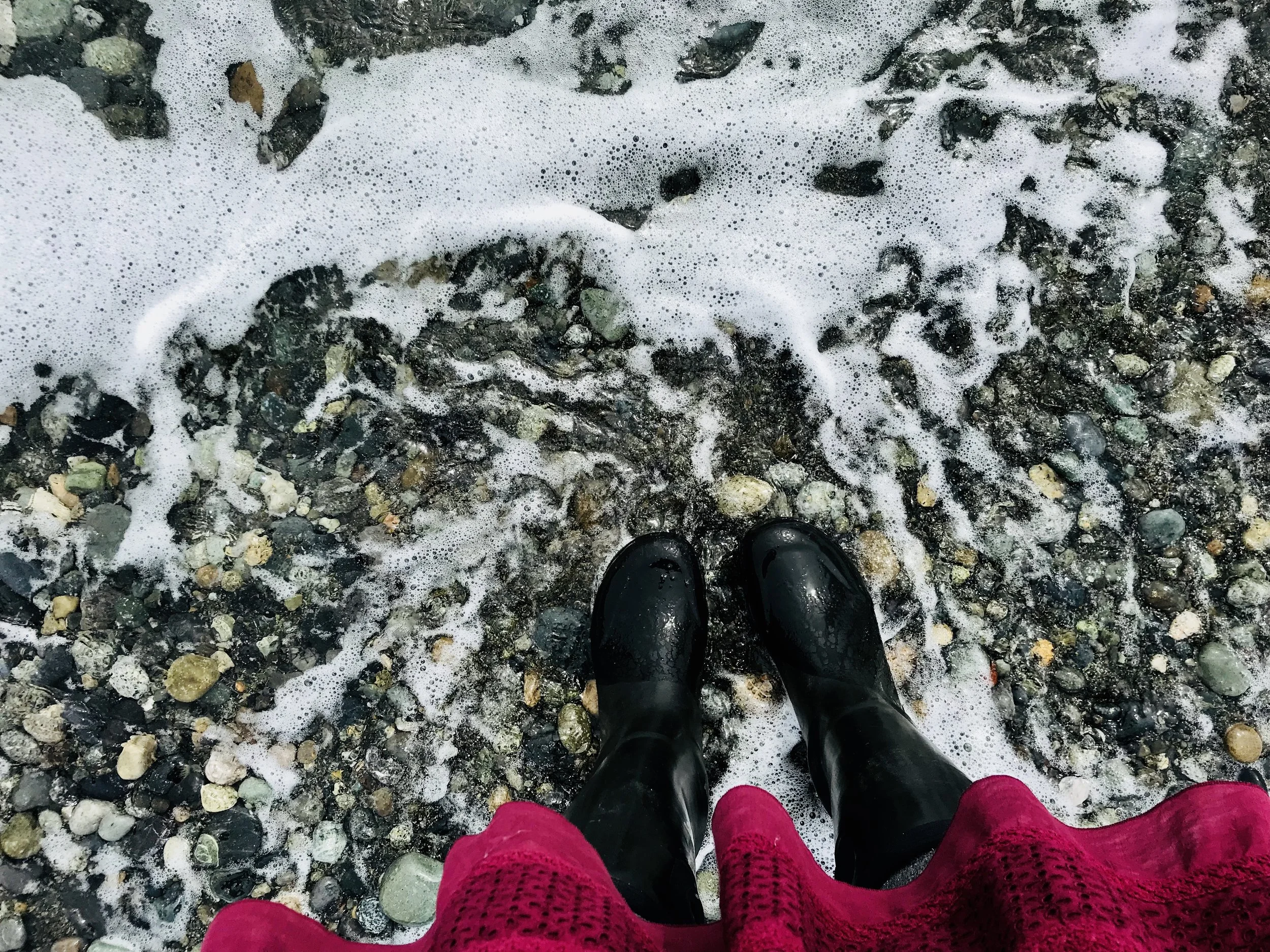 10 Reasons to visit San Juan Island in the Fall
