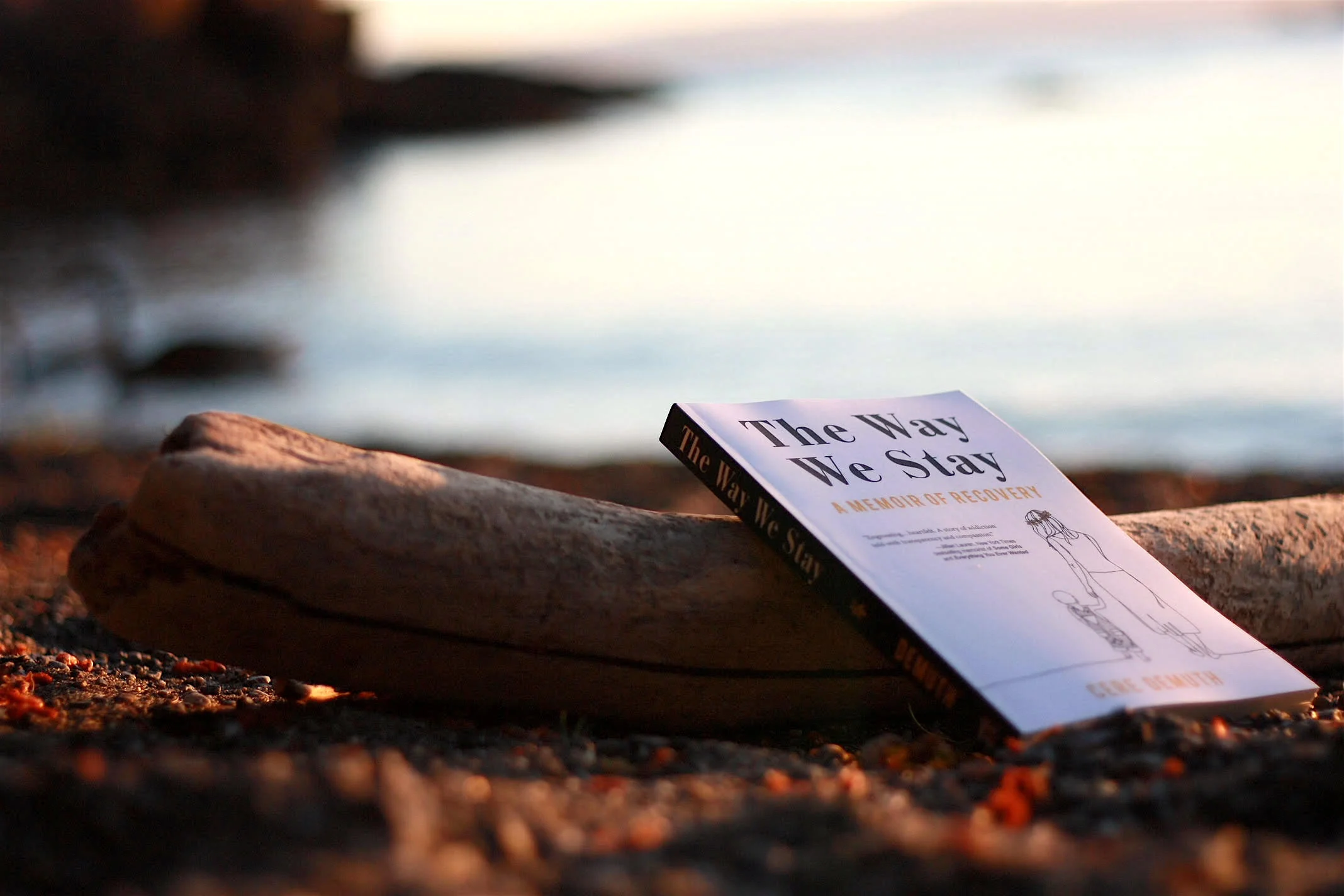 Artists of the Word on San Juan Island