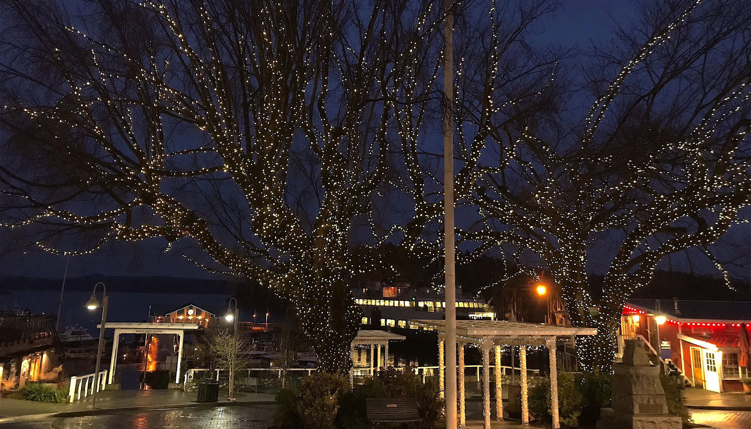 San Juan Island’s Secret Season – How to Holiday, Island Style!