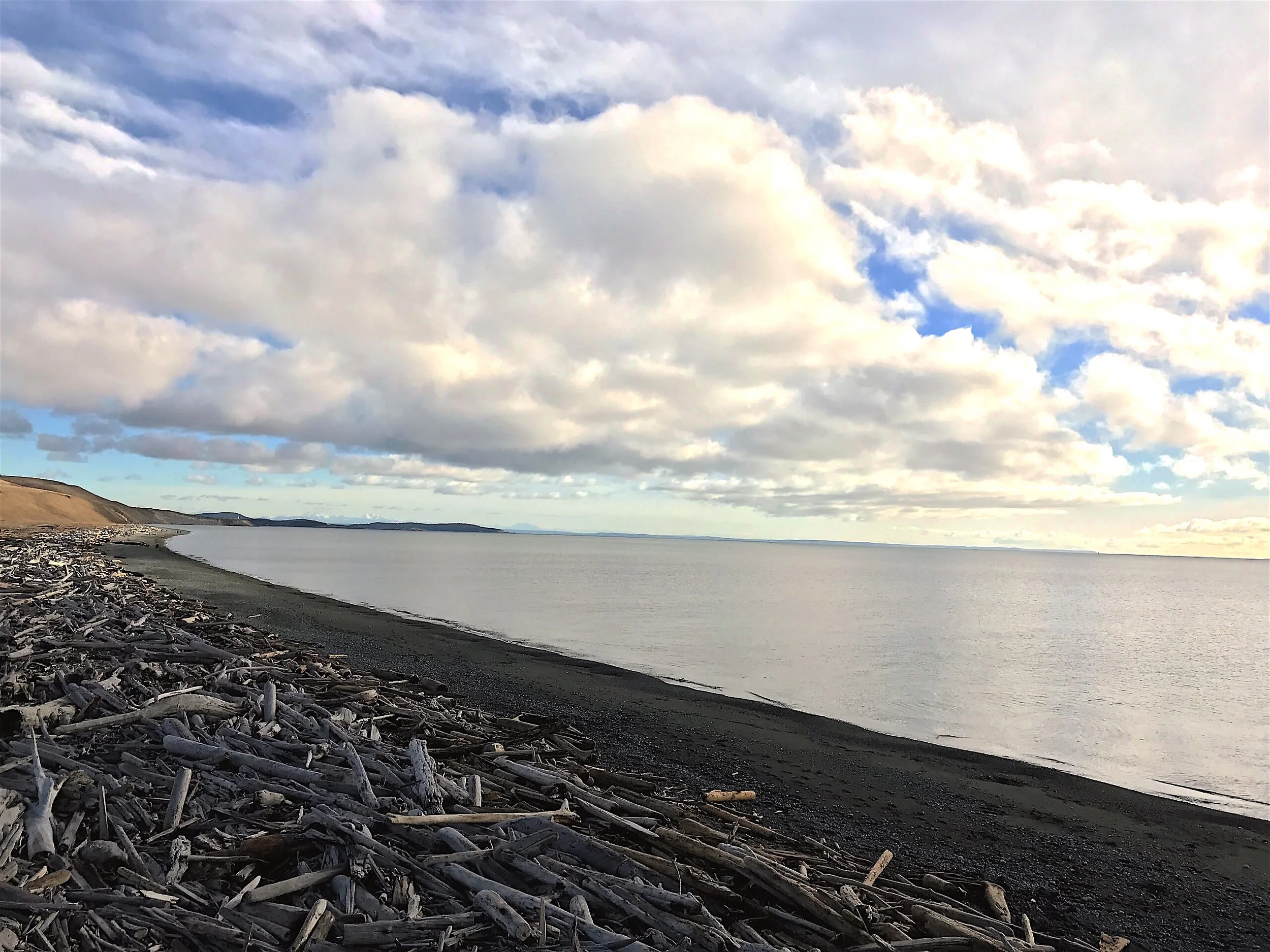 Have the beaches to yourself during San Juan Island’s Secret Season