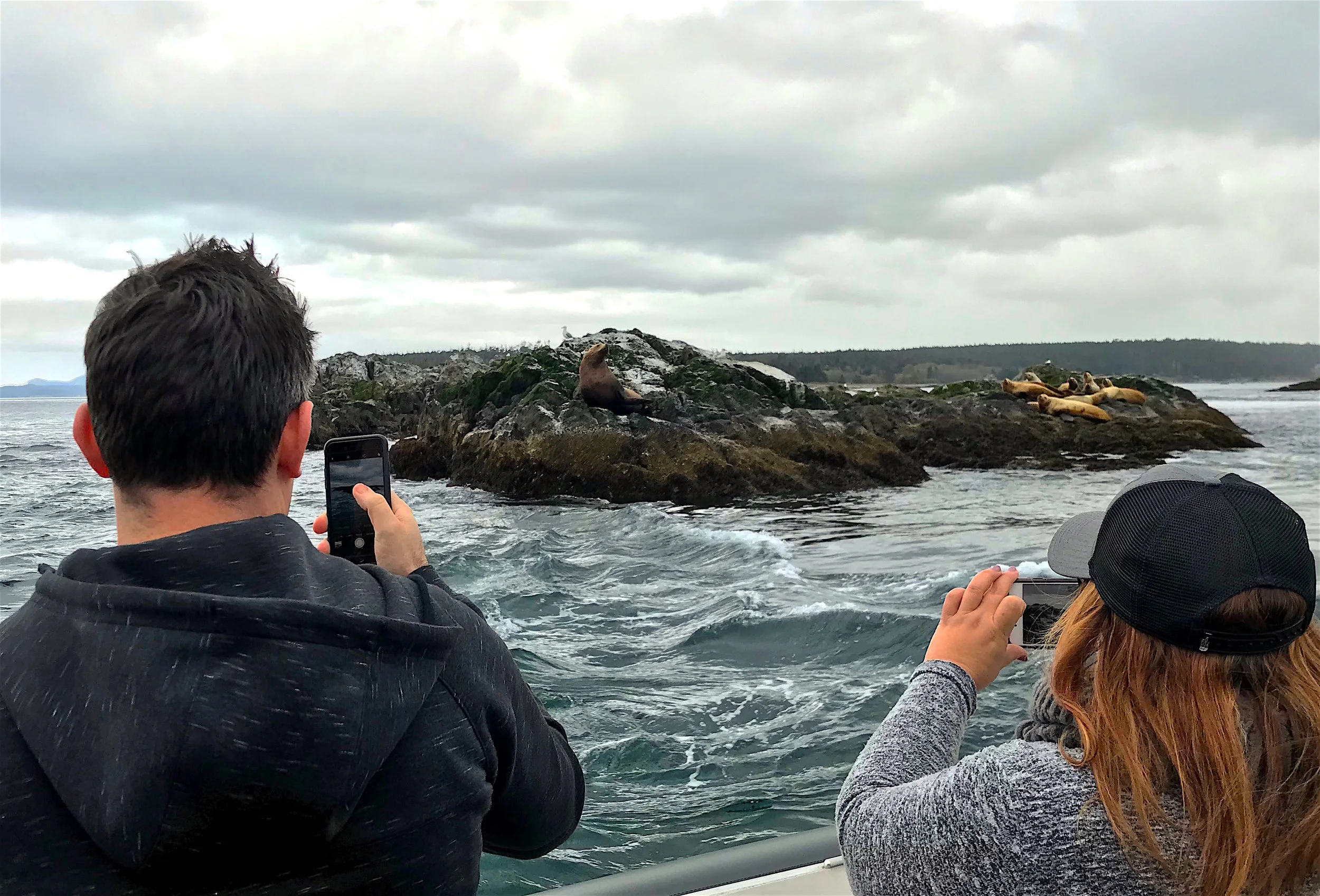 The Ultimate San Juan Island Bucket List