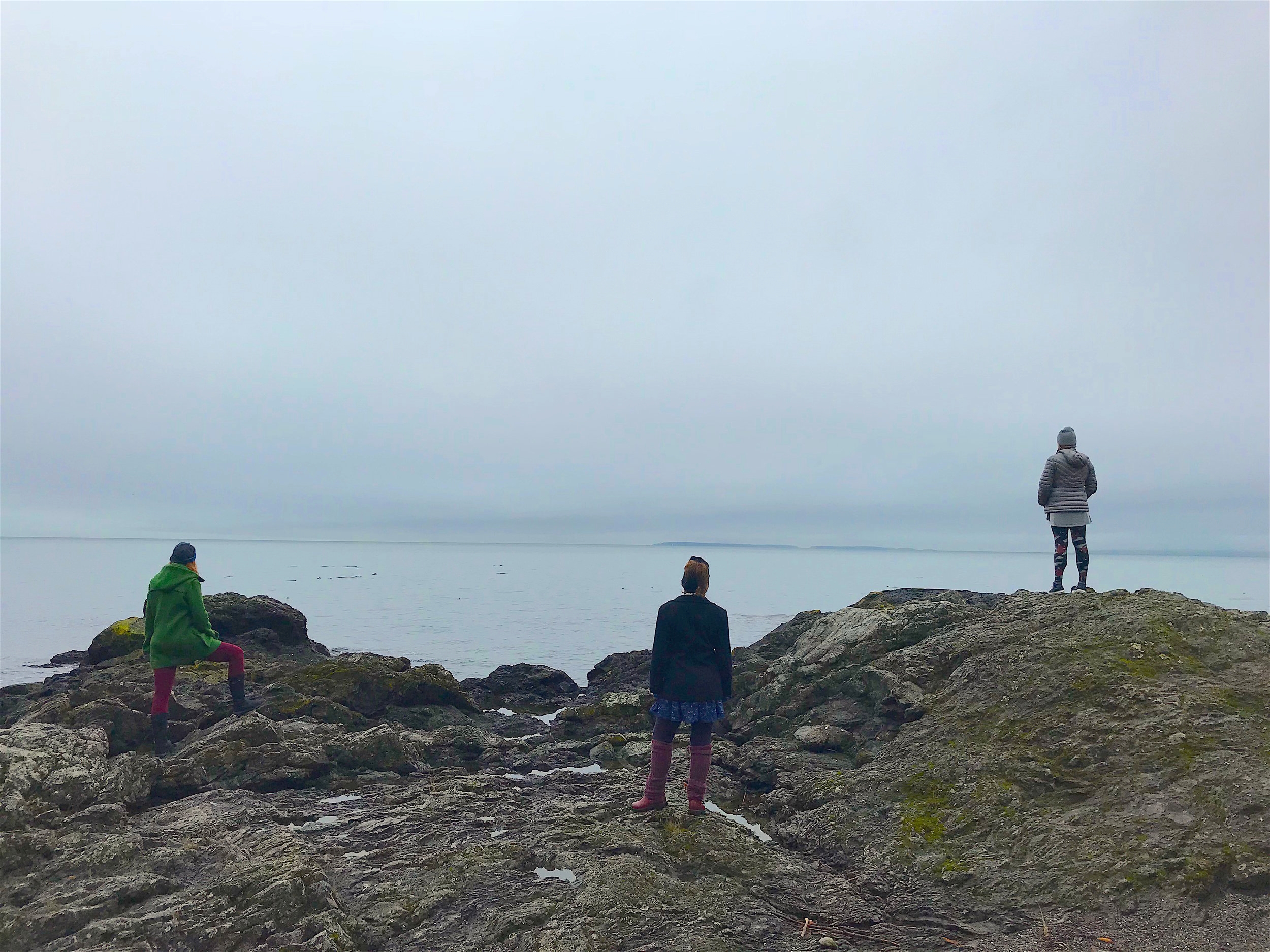 10 Things to do on San Juan Island in the Winter