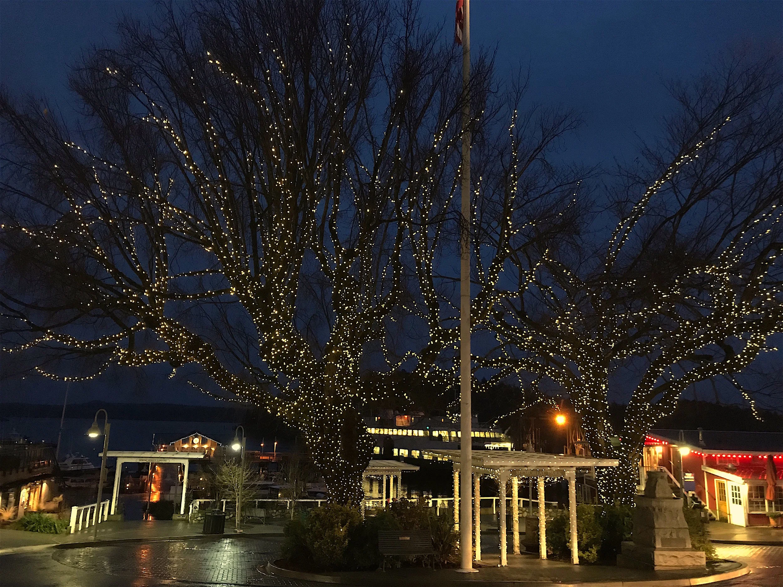 Not Your Usual Christmas Eve in Friday Harbor