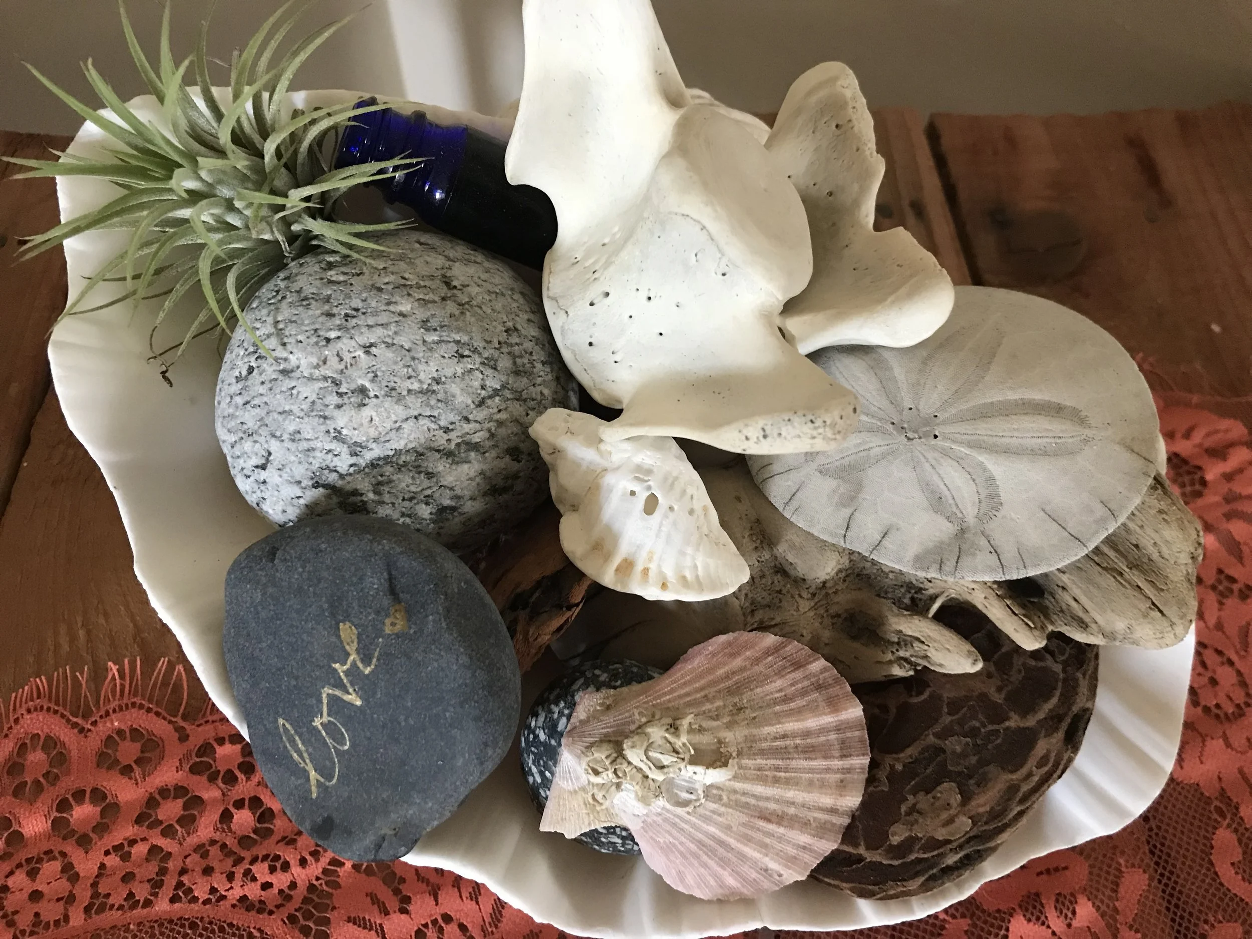 Display your beach treasures at home to remember your island getaway